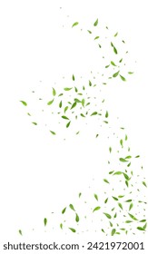 Forest Leaves Tree Vector White Background Pattern. Fly Leaf Wallpaper. Swamp Foliage Forest Border. Greens Transparent Banner.