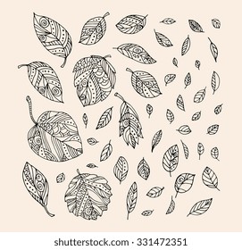 Forest leaves. Vector. Hand drawn artwork. Set collection. Bohemia concept for cards, tickets, branding, logo, label. Web and mobile interface template. Black and white, beige