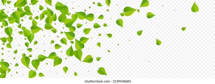 Forest Leaves Forest Vector Panoramic Transparent Background Backdrop. Herbal Leaf Branch. Lime Greens Fly Banner. Foliage Falling Border.