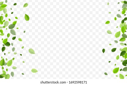 Forest Leaves Vector Pattern. Lime Greens Realistic Plant. Wind Branch. Mint Leaf Fresh Background.