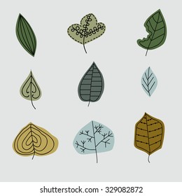 Forest leaves. Vector.  Set collection. 