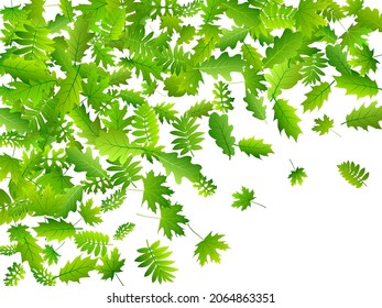 Forest leaves vibrant vector background. Wild forest foliage closeup. Rowan and oak leaves falling. Herbal natural background. Environmental lush vector.