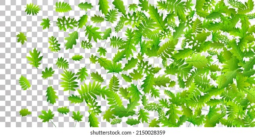 Forest leaves vibrant vector pattern. Realistic forest foliage closeup. Oak and maple leaves isolated. Botanical eco illustration. Farm plantation rustic vector.
