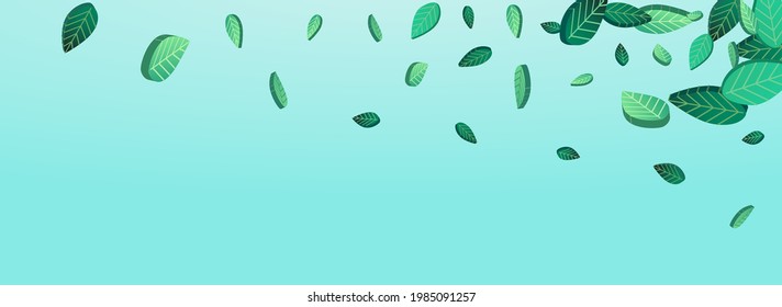 Forest Leaves Wind Vector Panoramic Blue Background Banner. Forest Leaf Plant. Olive Greens Organic Illustration. Foliage Spring Brochure.