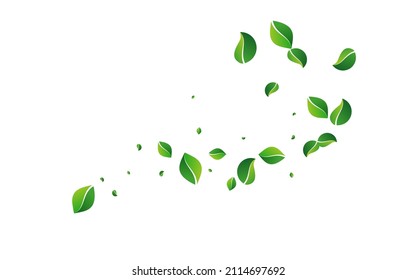 Forest Leaves Wind Vector White Background. Spring Greens Plant. Green Leaf Motion Backdrop. Foliage Nature Border.
