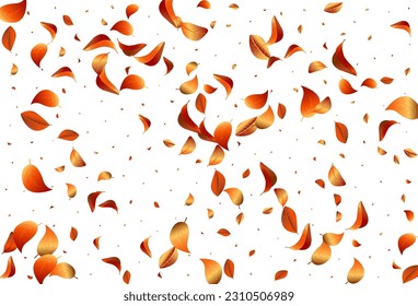 Forest Leaves Wind Vector White Background Brochure. Flying Foliage Concept. Orange Leaf Transparent Plant. Solar Ecology Border.