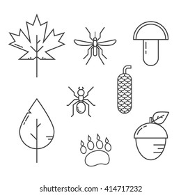 Forest life thin line design elements. Animal bear tracks, plants, insects and mushrooms outline vector icons isolated on white background. Linear style.