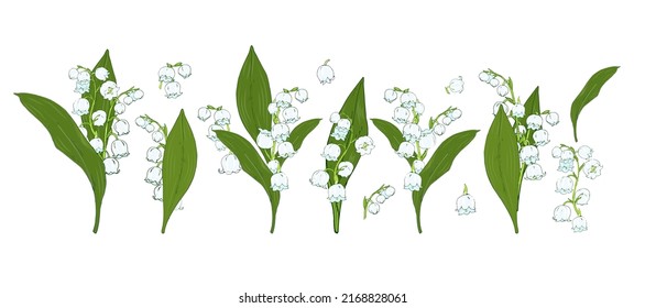 forest lilies of the valley set on a white background, spring flowers vector illustration
