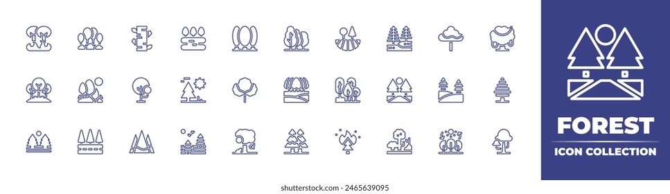 Icono de línea de bosque colección. Trazo editable. Ilustración vectorial. Contiene bosque, paisaje, carretera, incendio forestal, abedul, invierno, lago, fotosíntesis, árbol, canela.