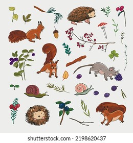 Forest little animals: hedgehog, squirrel, mouse, snail vector illustrations set.