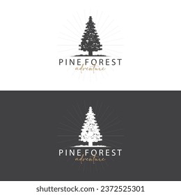 Forest Logo, Vector Forest Wood With Pine Trees, Design Inspirational Badge Label Illustration