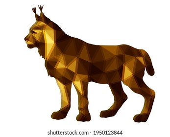 forest lynx isolated images on a white background in low poly style, amber color
