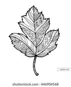 Forest maple leaf isolated. Vector illustration. Black and white. Bohemia concept for invitation card, ticket, branding, logo, label. Coloring book page for adult. Line art