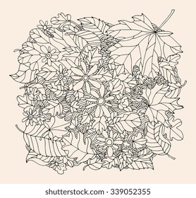 Forest maple, oak, linden leaf, chamomile flower, grass field. Vector hand drawn artwork. Bohemia concept for invitation card, ticket, branding, logo, label. Black, white, beige