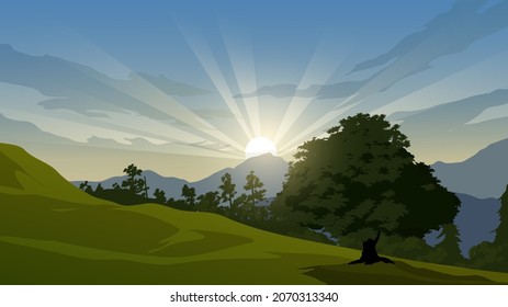 Forest meadow landscape at sunrise