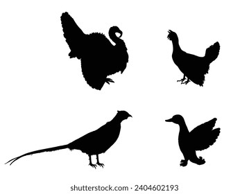 Forest and meadow wildlife birds vector silhouette illustration isolated on white background. Turkey male shape, gobbler. Grouse and duck. Pheasant shadow. Bird watching. Plumage in zoo park.