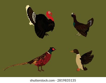 Forest and meadow wildlife birds vector illustration isolated on white background. Turkey male, gobbler. Grouse and duck. Pheasant. Bird watching. Plumage in zoo park.
