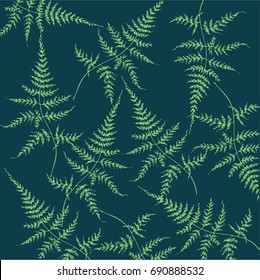 Forest miracle - fern leaves