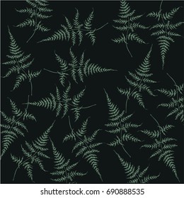 Forest miracle - fern leaves