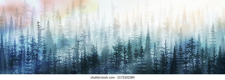 Forest in the morning fog, sun rays, panoramic view