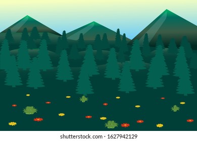 forest in the mountains and forest clearing