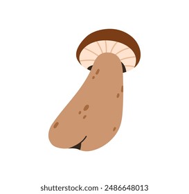 Forest mushroom, boletus icon. Porcini, autumn fall fungus. Edible fungi, cap and stalk. Fresh natural organic raw food. Flat vector graphic illustration isolated on white background