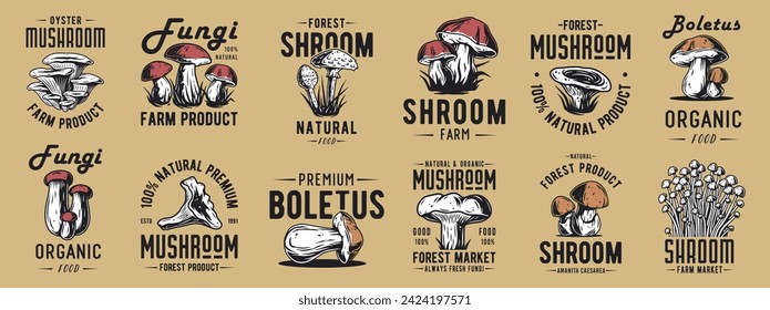 Forest mushroom boletus set of porcini, king bolete. Vegetarian fungus boletus for food. Nature fungi for healthy nutrition, mushroom picking.