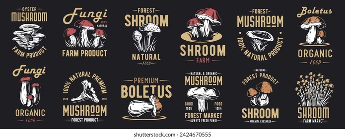 Forest mushroom boletus set of porcini, king bolete. Vegetarian fungus boletus for food. Nature fungi for healthy nutrition, mushroom picking.