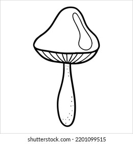 forest mushroom with a brown cap. woodland isolated edible mushroom. autumn gifts of the forest. hand-drawn doodle illustration. Vegetarian food, proper nutrition