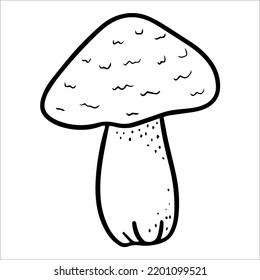 forest mushroom with a brown cap. woodland isolated edible mushroom. autumn gifts of the forest. hand-drawn doodle illustration. Vegetarian food, proper nutrition