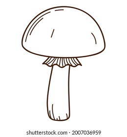 Forest mushroom with a cap, black birch. A symbol of the forest, autumn, and harvest. Design element with outline. Doodle, hand-drawn. Flat design. Black white vector illustration. Isolated on white.