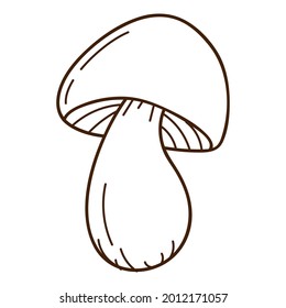 Seta forestal con gorra, abedul negro. Un símbolo del bosque, otoño y cosecha. Elemento de diseño con contorno. Doodle, dibujado a mano. Diseño plano. Ilustración vectorial blanca negra. Aislado sobre blanco