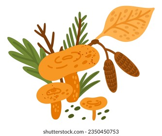 Forest mushroom. Chanterelles and leaves. Raw woodland food. Edible fungus. Birch and conifer foliage. Yellow fungi. Natural ingredient. Organic russula. Vector wild