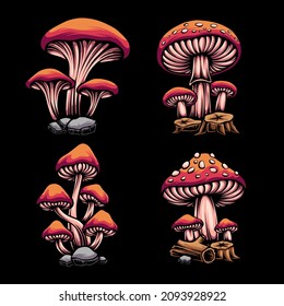 Forest mushroom colorful illustration set