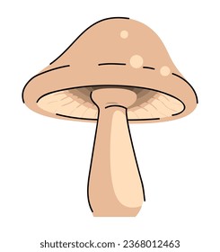 forest mushroom design vector isolated