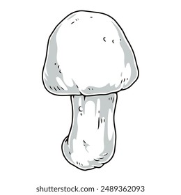 Forest mushroom detailed sticker monochrome with whole wild boletus mushroom grown in spring rainy forest vector illustration