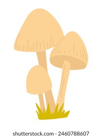 Forest mushroom in flat design. Autumn wild fungus or white toadstools. Vector illustration isolated.