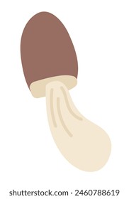 Forest mushroom in flat design. Autumn edible fungus with brown cap. Vector illustration isolated.