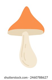 Forest mushroom in flat design. Cute raw autumn fungus with orange cap. Vector illustration isolated.