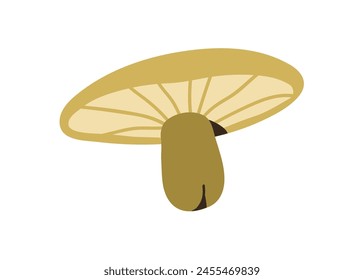 Forest mushroom. Fungus, gilled cap and stipe. Russula fungi, green brittlegill, fall seasonal natural organic food. Flat graphic vector illustration isolated on white background