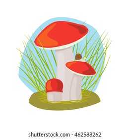 Forest mushroom with grass and snail on mushroom cap vector
