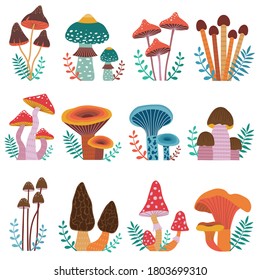 Forest mushroom hand drawn multicolored set. Common and unusual mushrooms as fly agaric, indigo milk cap, Chanterelle, honey fungus and true morels. Toadstool collection with leaves and brunches.