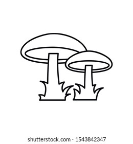 Forest mushroom icon. Outline forest mushroom vector icon for web design isolated on white background