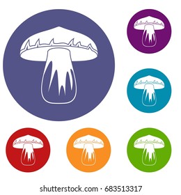 Forest mushroom icons set