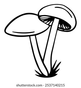 Forest mushroom illustration. A detailed doodle-style illustration of forest mushrooms with playful, hand-drawn lines and organic shapes.