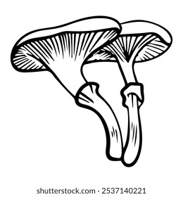 Forest mushroom illustration. A detailed doodle-style illustration of forest mushrooms with playful, hand-drawn lines and organic shapes.