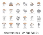 Forest mushroom line icon set. Chanterelle, champignon, shiitake, porcini, cep, milk agaric minimal vector illustration. Simple outline sign for edible fungus. Orange color, Editable Stroke