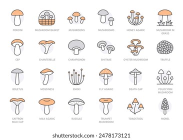 Forest mushroom line icon set. Chanterelle, champignon, shiitake, porcini, cep, milk agaric minimal vector illustration. Simple outline sign for edible fungus. Orange color, Editable Stroke