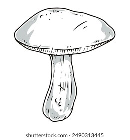 Forest mushroom monochrome detailed label with flywheel or bosom mushroom grown in rainy weather in wild park vector illustration