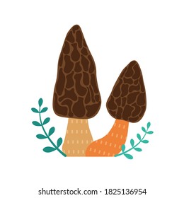 Forest mushroom morchella cartoon illustration. Morels fungi icon with leaves and brunches.